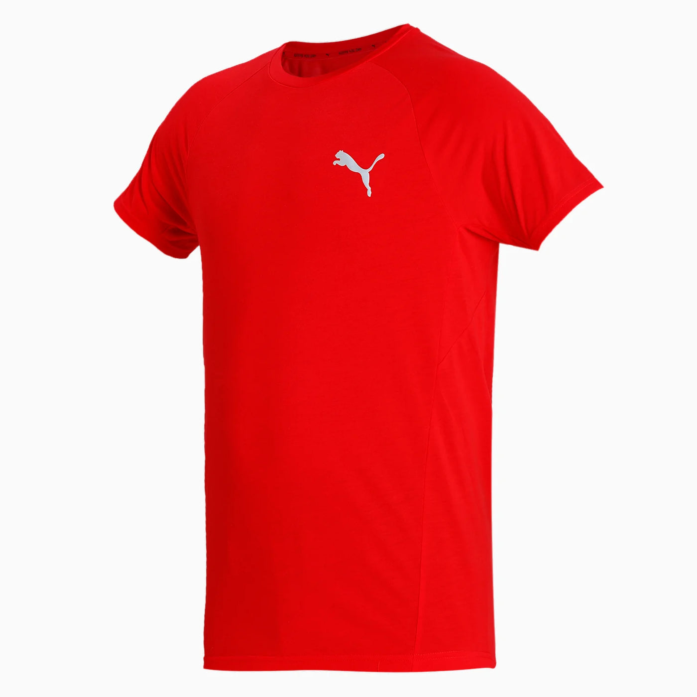 Puma Men Evostripe Slim Fit T-Shirt on www.NeosSports.com